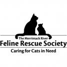 Group or Mission Logo